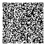 16939008911064348085